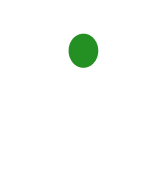 Test Icon